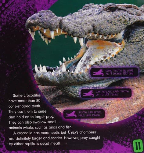 Tapa de T. rex vs. crocodile
