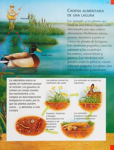 Tapa de La naturaleza