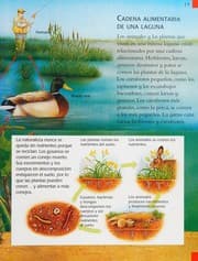 Tapa de La naturaleza