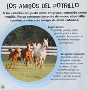 Tapa de De potrillo a caballo