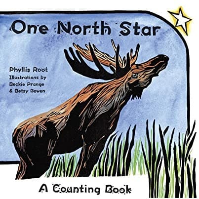 Tapa de One North Star