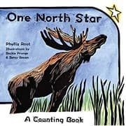 Tapa de One North Star