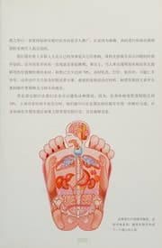 Tapa de Shou dao bing zi chu 3