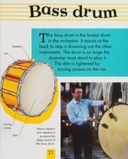 Tapa de Drums