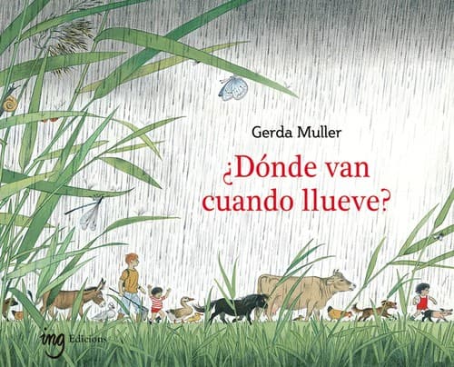 Tapa de ¿Dónde van cuando llueve?