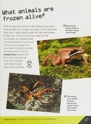 Tapa de Animal mysteries revealed