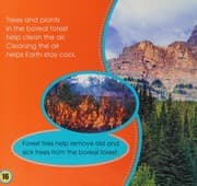 Tapa de Boreal Forests