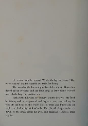 Tapa de The little boy and the big fish