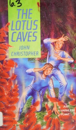 Tapa de The lotus caves