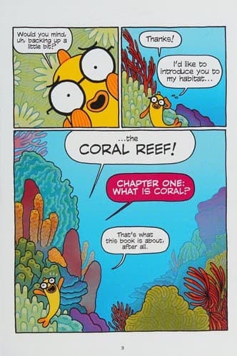 Tapa de Coral reefs