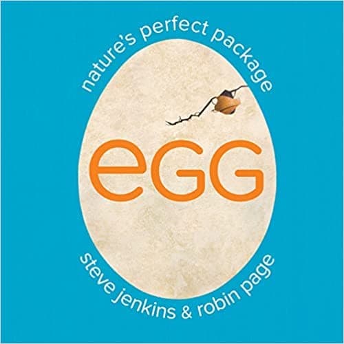 Tapa de Egg