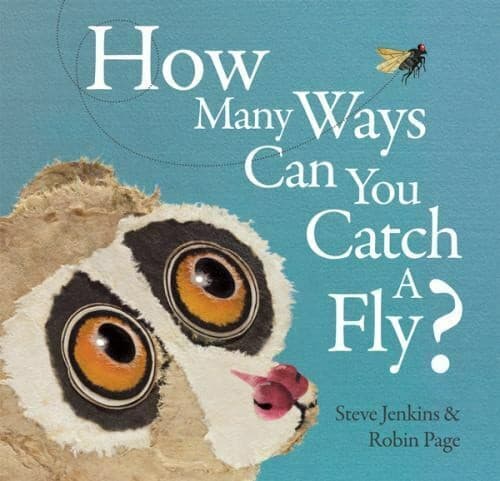 Tapa de How Many Ways Can You Catch a Fly?