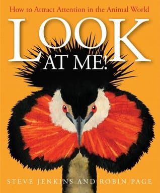 Tapa de Look at Me!