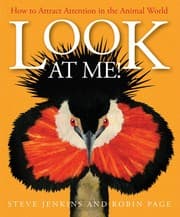 Tapa de Look at me!