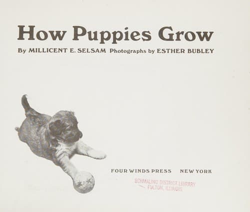 Tapa de How puppies grow