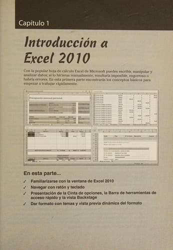 Tapa de Excel 2010 para dummies guía rápida
