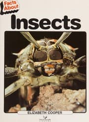 Tapa de Insects