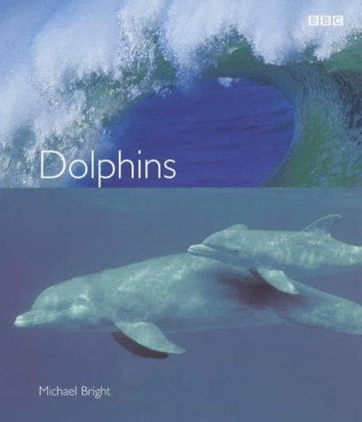 Tapa de Dolphins