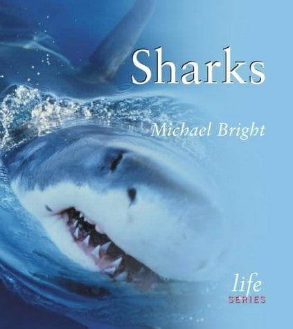 Tapa de Sharks (Life)