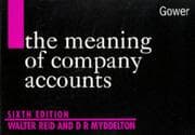 Tapa de The meaning of company accounts