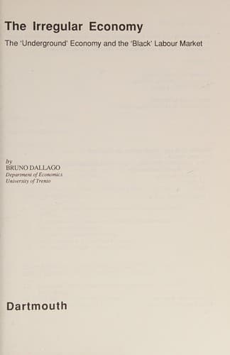 Tapa de The irregular economy