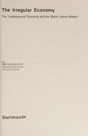Tapa de The irregular economy