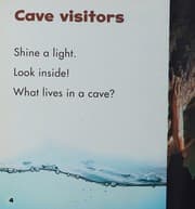 Tapa de What's in a Cave?