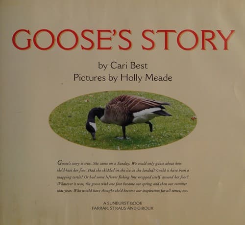 Tapa de Goose's Story