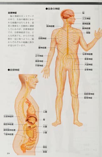 Tapa de Katei igakukan