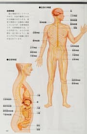Tapa de Katei igakukan