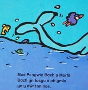 Tapa de Pengwin Bach