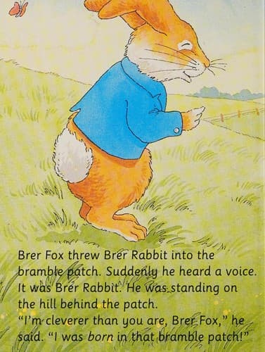 Tapa de Brer Rabbit