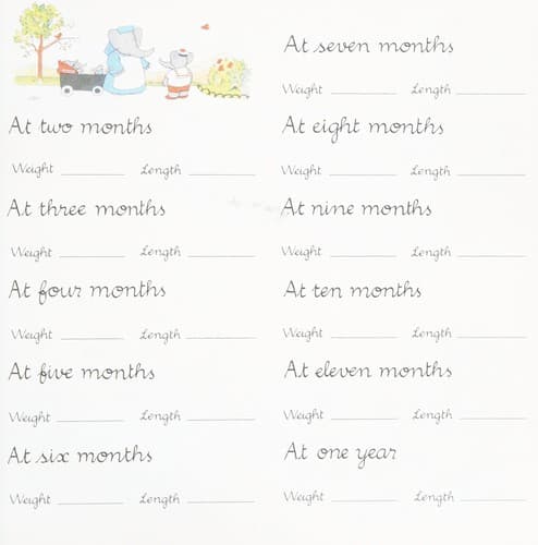 Tapa de Babar's baby book