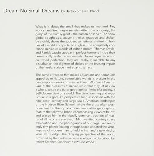 Tapa de Dream No Small Dreams