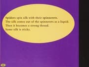 Tapa de Spiders Spin Silk