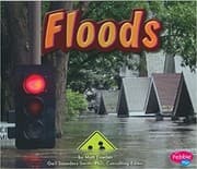Tapa de Floods