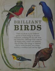 Tapa de Brilliant Birds
