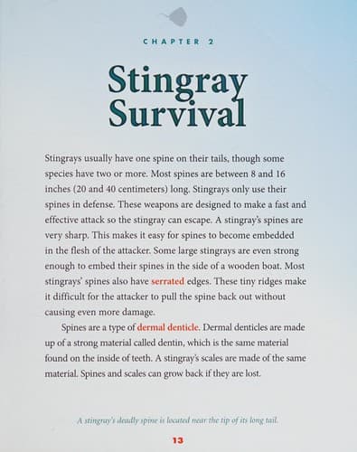 Tapa de Stingrays