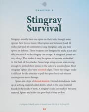 Tapa de Stingrays