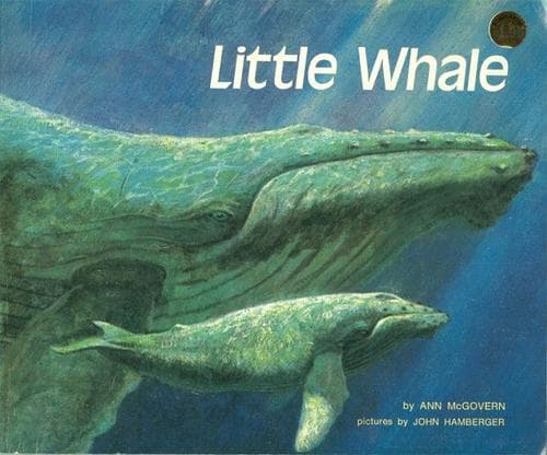 Tapa de Little whale