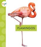 Tapa de Flamingos