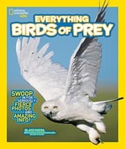 Tapa de Everything birds of prey