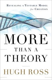 Tapa de More Than a Theory