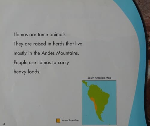 Tapa de Llamas