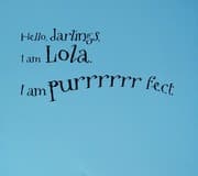 Tapa de What Lola Wants, Lola Gets