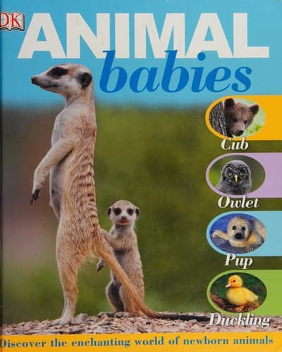 Tapa de Animal babies