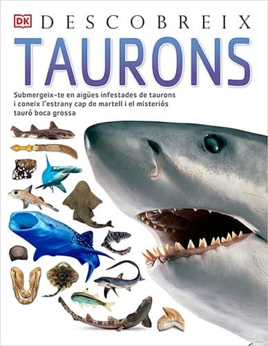 Tapa de Taurons, Descobreix