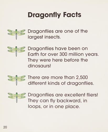 Tapa de Dragonflies