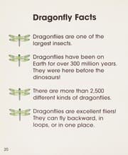 Tapa de Dragonflies