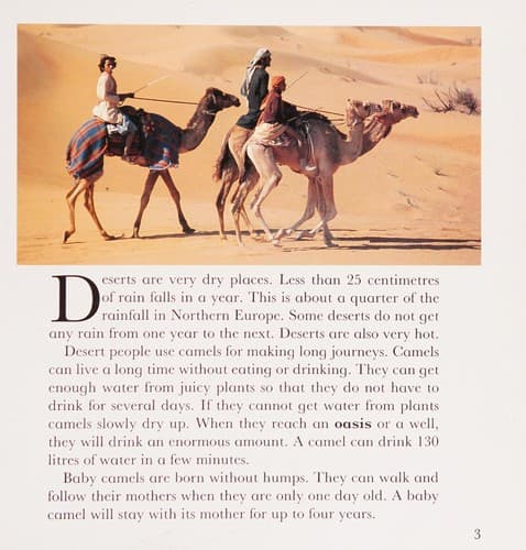 Tapa de Desert (Animal Homes)